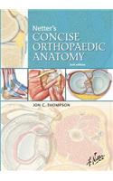Netter's Concise Orthopaedic Anatomy E-Book, Updated Edition
