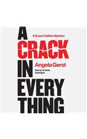A Crack in Everything