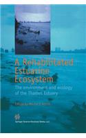 Rehabilitated Estuarine Ecosystem