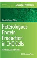 Heterologous Protein Production in CHO Cells