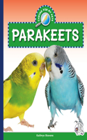 Parakeets