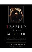 Trapped in the Mirror: Adult Children of Narcissists in Their Struggle for Self