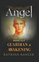 ANGEL - Books 1 and 2