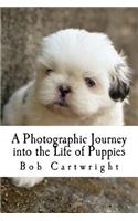 A Photographic Journey into the Life of Puppies