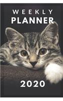 Weekly Planner: 53 week planner with month at a glance, with an ADORABLE CUTE KITTEN cover for CAT lovers - to help you organize and plan your everyday activities.