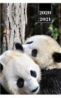 Panda Bear Week Planner Weekly Organizer Calendar 2020 / 2021 - Romantic Couple