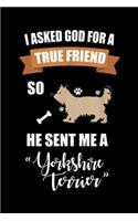 I asked god for a true friend so he sent me a 