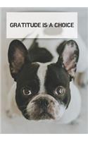 Gratitude Is a Choice: CUTE BULLDOG: A 52 WEEK GUIDE TO MANIFEST A MINDSET OF GRATITUDE Practice gratitude and Daily Reflection JOURNAL FOR MEN