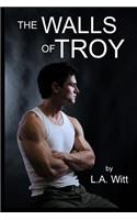 The Walls of Troy