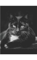 Black Cat Sheet Music Paper