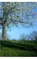 Cherry Tree Notebook