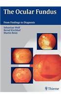 Ocular Fundus
