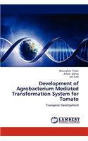 Development of Agrobacterium Mediated Transformation System for Tomato