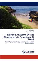 Morpho-Anatomy Of The Phaeophycota From Karachi Coast