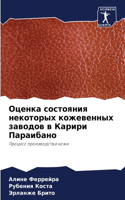 Оценка состояния некоторых кожевенных за