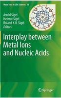 Interplay Between Metal Ions and Nucleic Acids