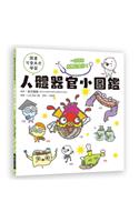Human Organs Illustrations Book