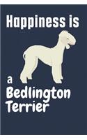 Happiness is a Bedlington Terrier