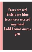 Roses are red Violets are blue Love never crossed my mind Until I came across you