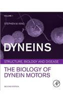 Dyneins