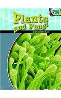 Plants and Fungi
