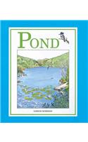 Pond