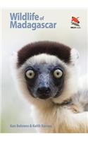 Wildlife of Madagascar