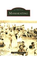 Mamakating
