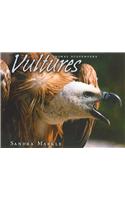 Vultures: (Animal Scavengers)