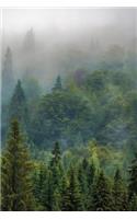 Premium I Forestry I Notebook