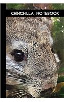 chinchilla notebook