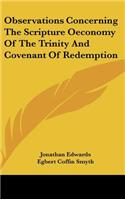 Observations Concerning the Scripture Oeconomy of the Trinity and Covenant of Redemption