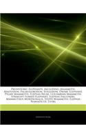 Articles on Prehistoric Elephants, Including: Mammoth, Mastodon, Palaeoloxodon, Stegodon, Dwarf Elephant, Pygmy Mammoth, Elephas Recki, Columbian Mammoth, Straight-Tusked Elephant, Elephas Falco