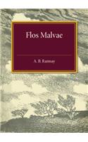 Flos Malvae