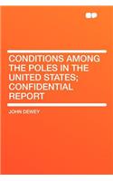 Conditions Among the Poles in the United States; Confidential Report