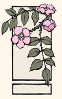 Wild Rose (Boxed)