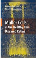 Müller Cells in the Healthy and Diseased Retina