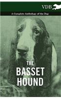 The Basset Hound - A Complete Anthology of the Dog -