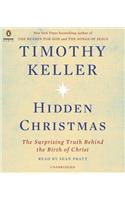 Hidden Christmas