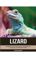 Lizard