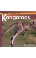 Welcome to the World of Kangaroos