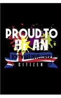 Proud to be a software developer citizen