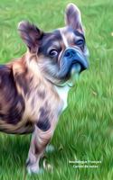 Bouledogue Français Carnet de notes: Journal A5 ligné original de 119 pages- Une belle idée de cadeau pour les amoureux des animaux