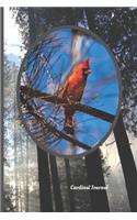 Cardinal Journal: Visitor From Heaven