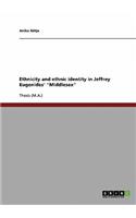 Ethnicity and ethnic identity in Jeffrey Eugenides' 