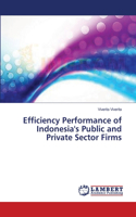 Efficiency Performance of Indonesia's Public and Private Sector Firms