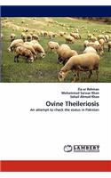 Ovine Theileriosis