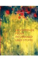 Leuchtende Feuer in Urwald Und Steppe