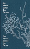 The Forces Behind the Forms: Geology, Matter, Process in Contemporary Art