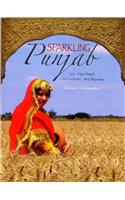 Sparkling Punjab